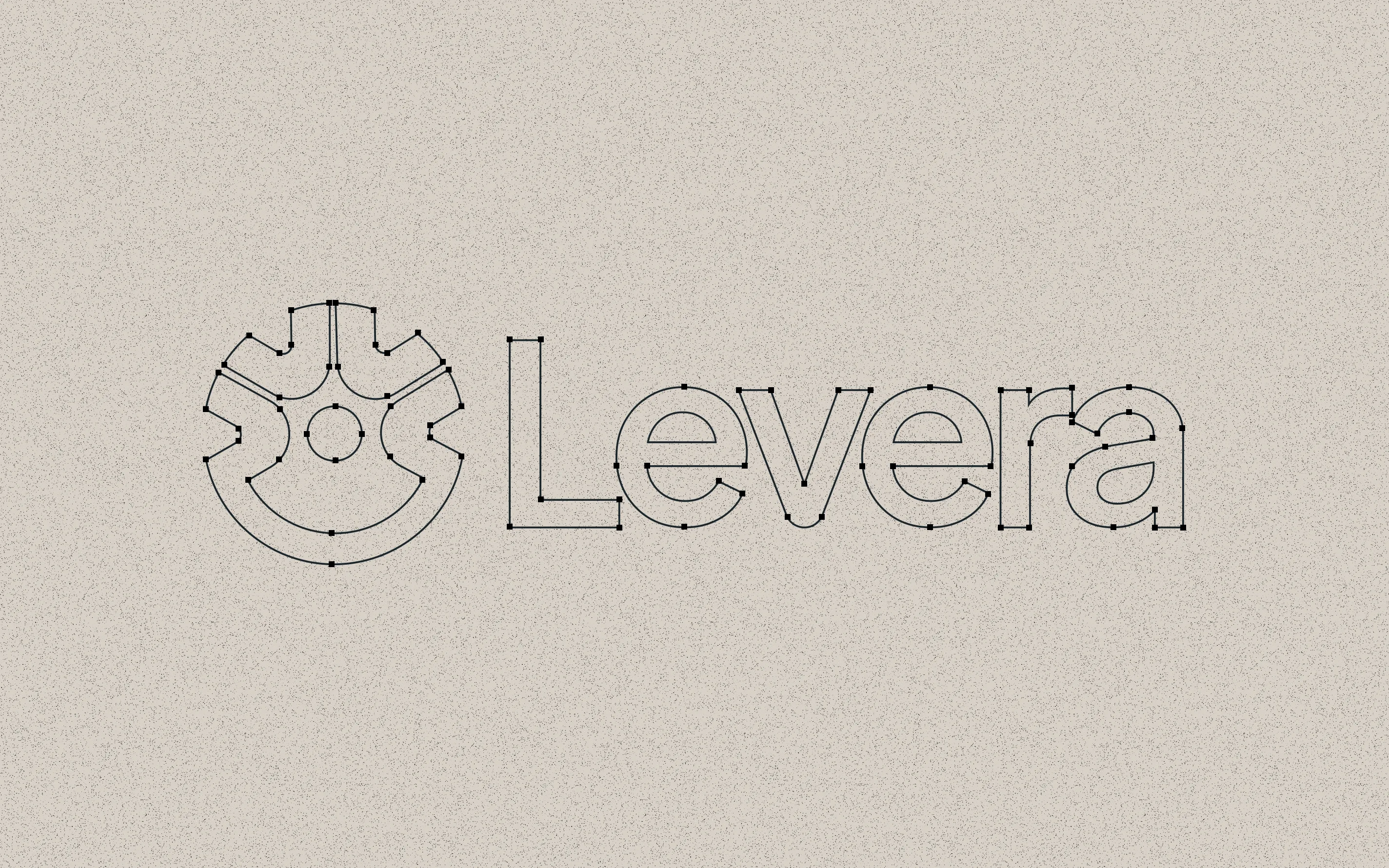 Levera brand system